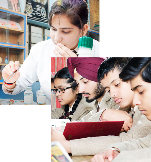 DHAULRI ENGLISH SCHOOL